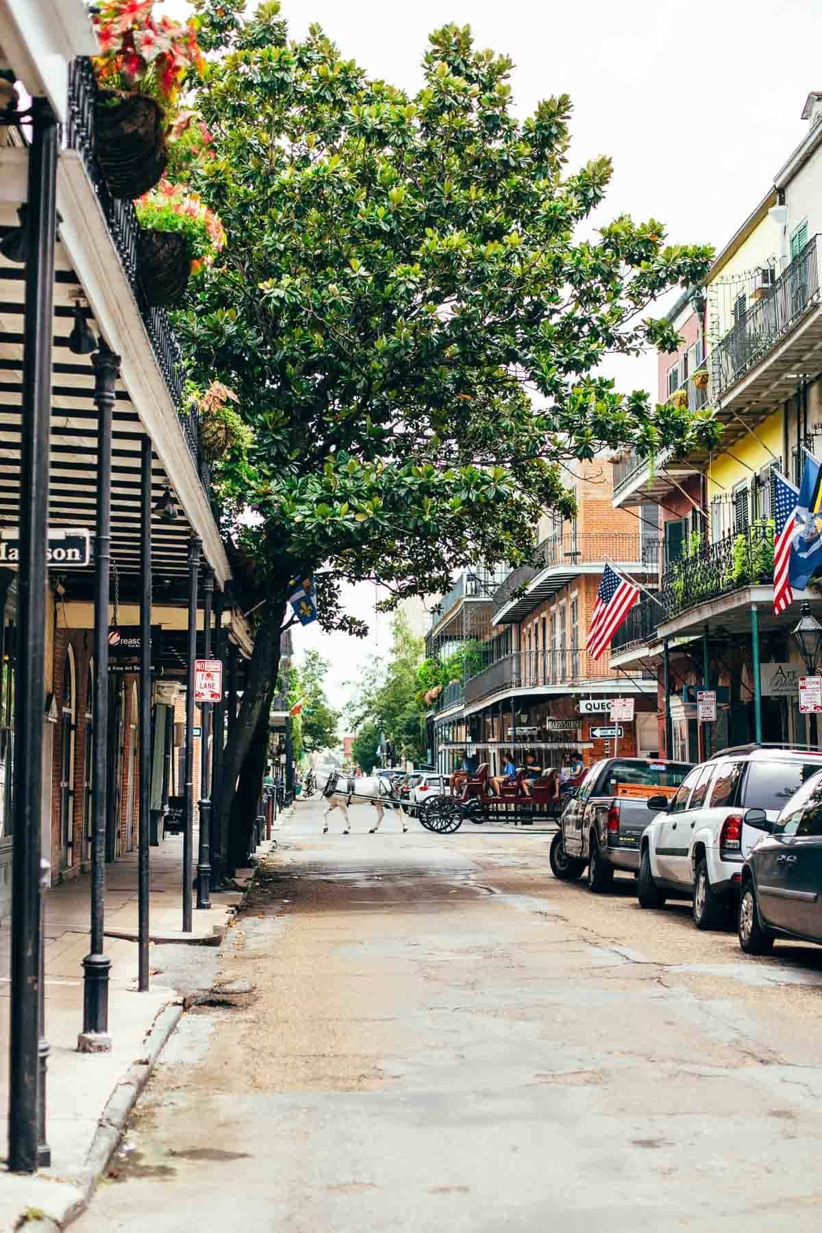 New Orleans | pinchofyum.com New Orleans | pinchofyum.com